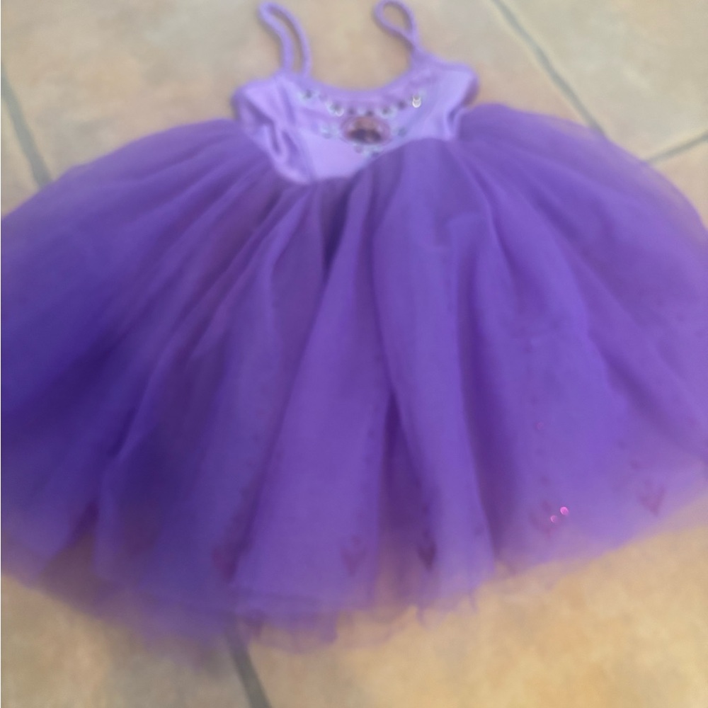 Disney Purple Princess Dance Costume